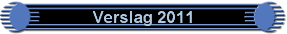 Verslag 2011